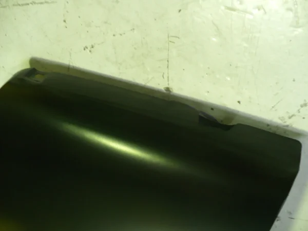 Mustang 1967 Right Hand Front Fender Guard (2)